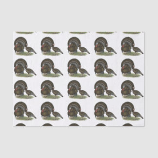 Turkey Standard Bronze Tissue Paper