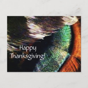 Turkey Tail Feathers Art Photo Happy Thanksgiving Holiday Postcard