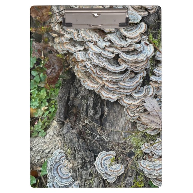 "Turkey Tail Mushrooms"  Clipboard (Front)