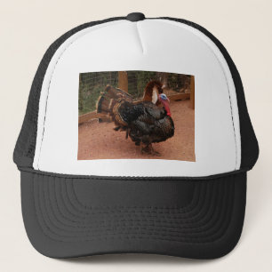 turkey, thanksgiving trucker hat