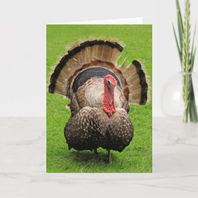 Turkey Thanksgiving Wisdom Holiday Card (Front)