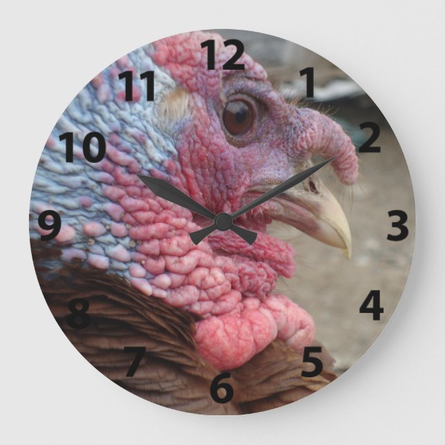 Turkey Tom Large Clock (Front)