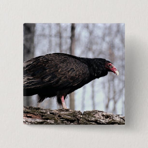 Turkey vulture 15 cm square badge