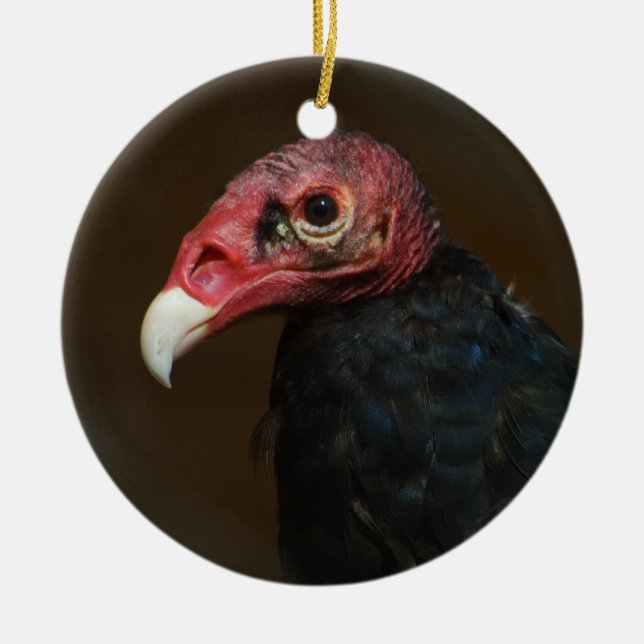 Turkey Vulture Ceramic Tree Decoration (Front)