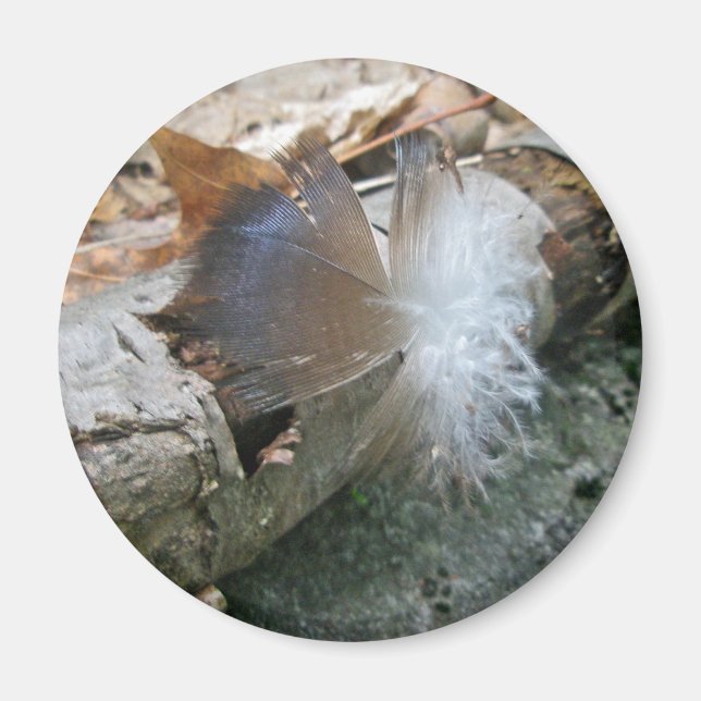 Turkey Vulture Feather Coordinating Items Magnet (Front)
