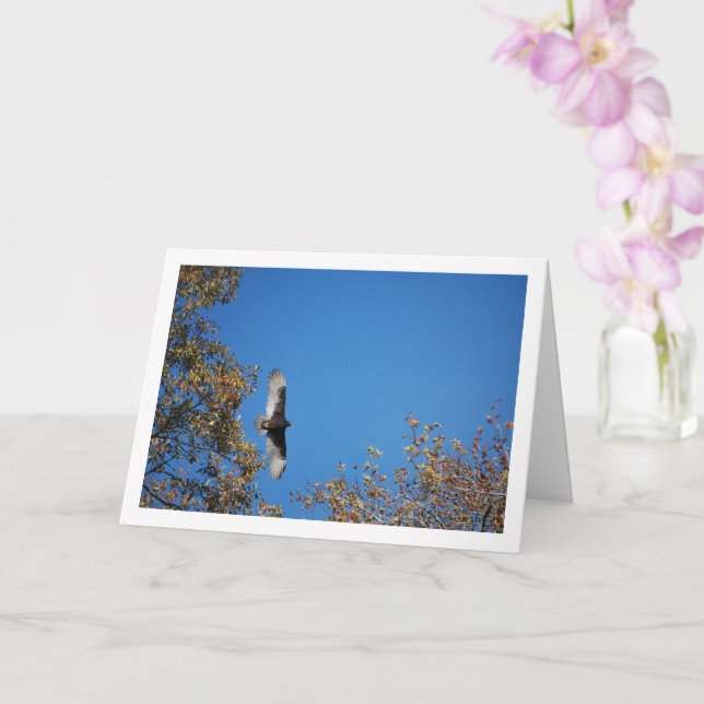 Turkey Vulture Over Trees Card (Orchid)
