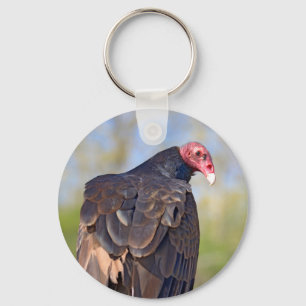 Turkey vulture perched on trunk   key ring
