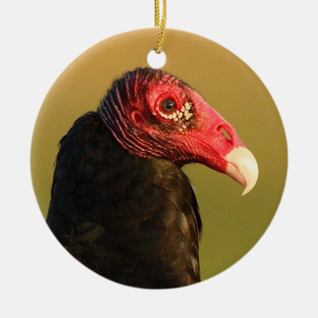 turkey vulture portrait ceramic tree decoration (Front)
