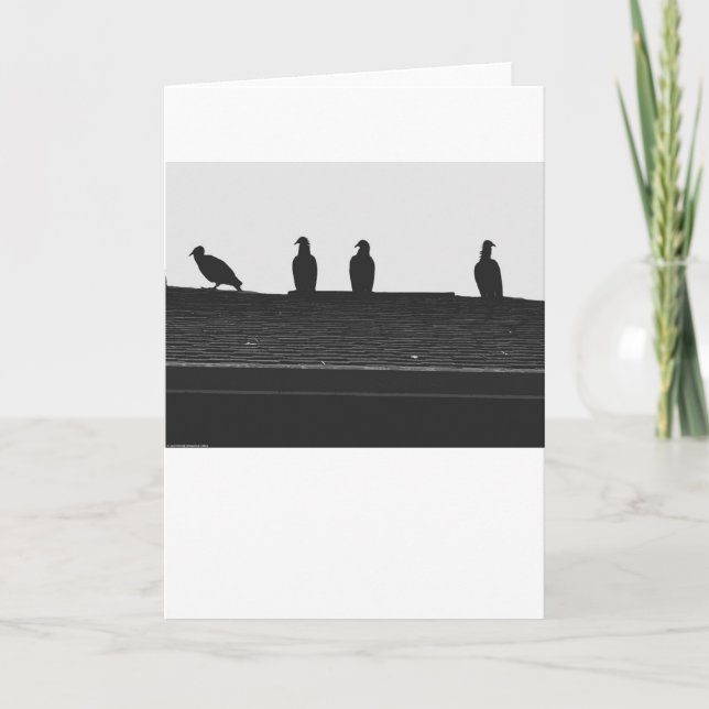 Turkey Vulture Silhouette, card (Front)