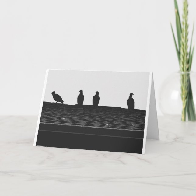 Turkey Vulture Silhouette, card (Front)