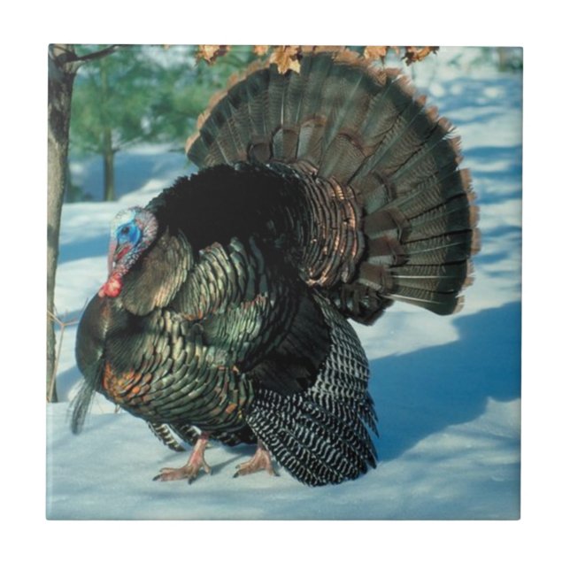 Turkey Walks In Snow Thanksgiving Christmas Winter Tile (Front)