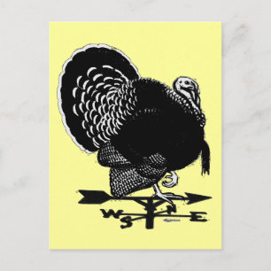 Turkey Weathervane Postcard
