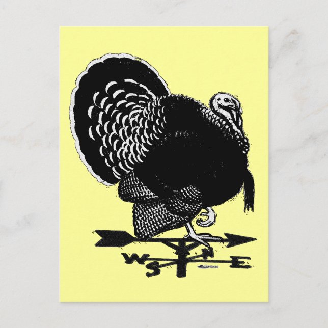 Turkey Weathervane Postcard (Front)