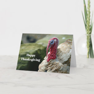 Turkey White Head Profile Photo Thanksgiving Holiday Card