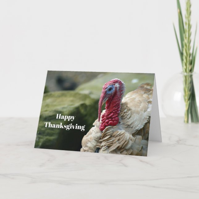 Turkey White Head Profile Photo Thanksgiving Holiday Card (Front)