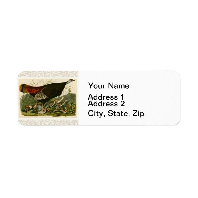 Turkey Wild Audubon Bird Painting (Front)