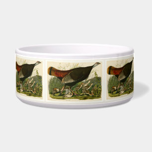 Turkey Wild Audubon Bird Painting