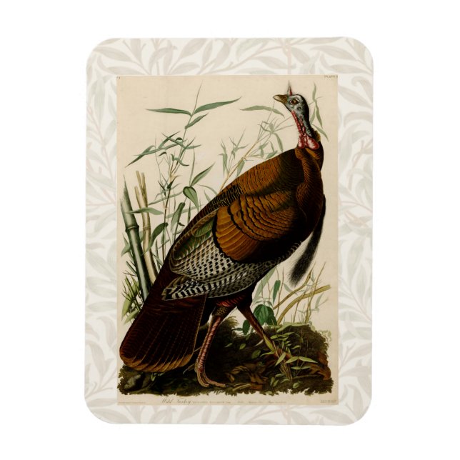 Turkey Wild Audubon Bird Painting Magnet (Vertical)