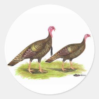 Turkey: Wild Bronze Classic Round Sticker