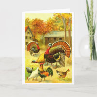 Turkeys and chickens