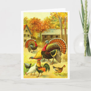 Turkeys and chickens holiday card
