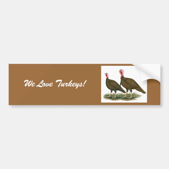 Turkeys:  Chocolate Bumper Sticker (Front)
