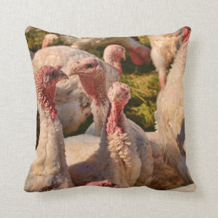 Turkeys Cushion