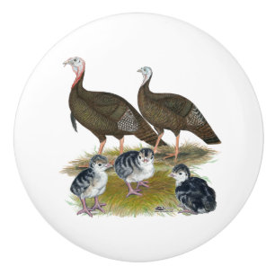 Turkeys Eastern Wild Family Ceramic Knob
