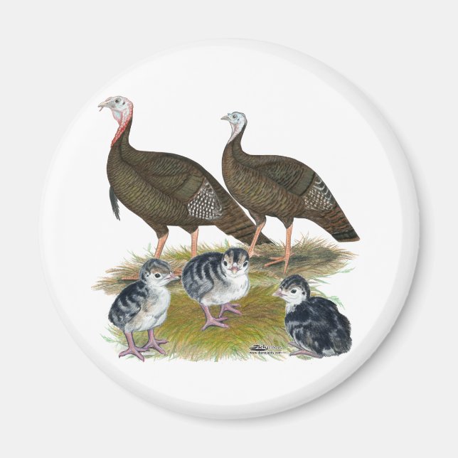 Turkeys Eastern Wild Family Magnet (Front)