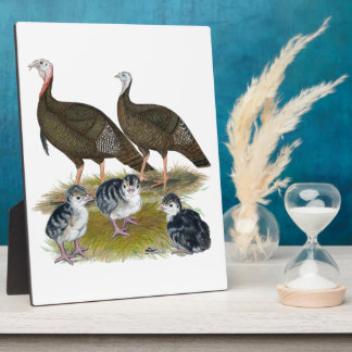 Turkeys Eastern Wild Family Plaque