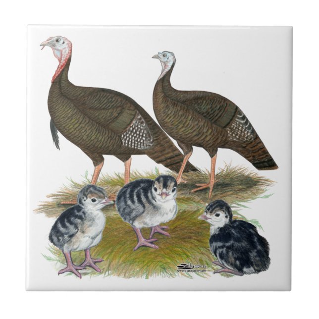 Turkeys Eastern Wild Family Tile (Front)