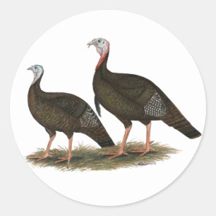 Turkeys Eastern Wild Pair Classic Round Sticker