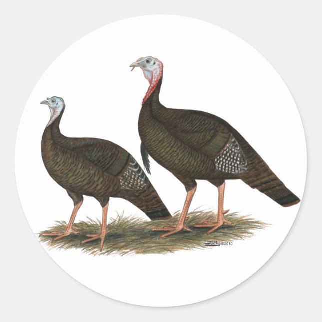Turkeys Eastern Wild Pair Classic Round Sticker (Front)