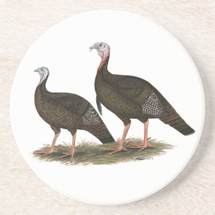 Turkeys Eastern Wild Pair Coaster