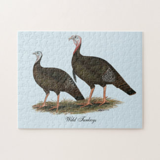 Turkeys Eastern Wild Pair Jigsaw Puzzle
