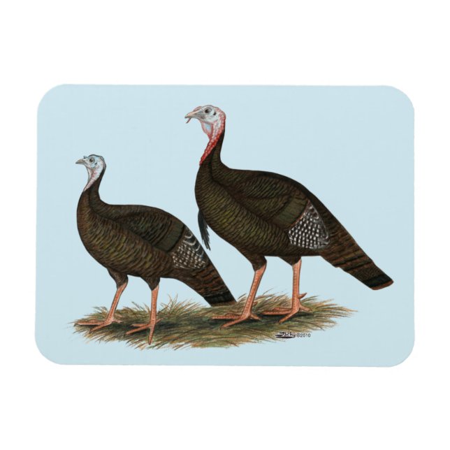 Turkeys Eastern Wild Pair Magnet (Horizontal)