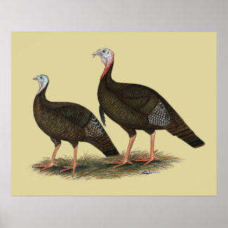 Turkeys Eastern Wild Pair Poster