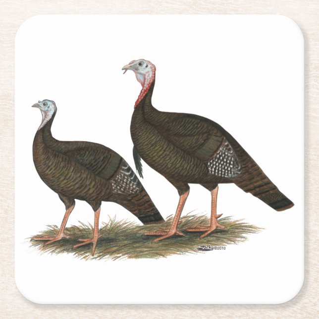 Turkeys Eastern Wild Pair Square Paper Coaster (Front)