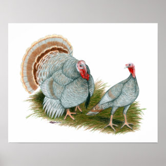 Turkeys: Lilac Poster