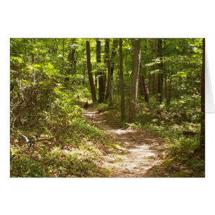 turkeys on the appalachian trail