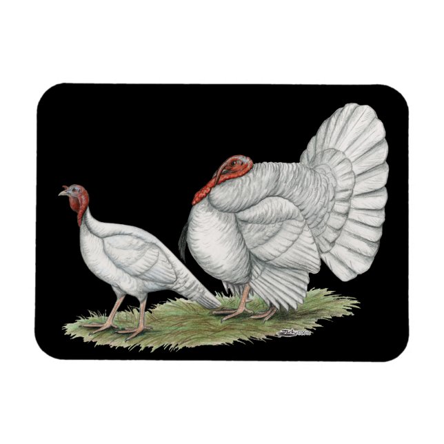 Turkeys White Holland Magnet (Horizontal)