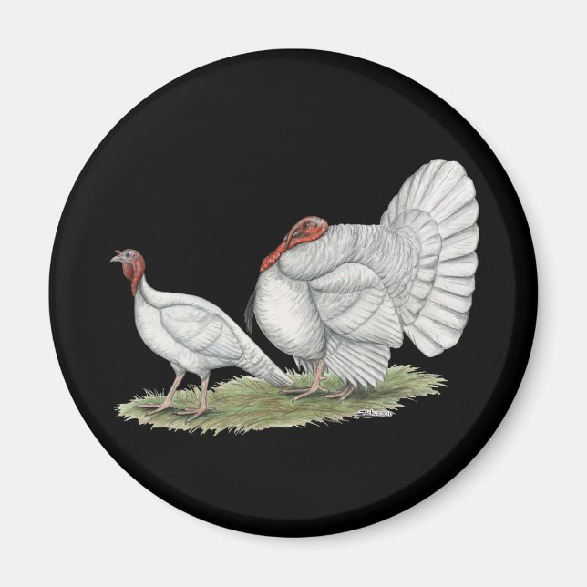 Turkeys White Hollands Magnet (Front)