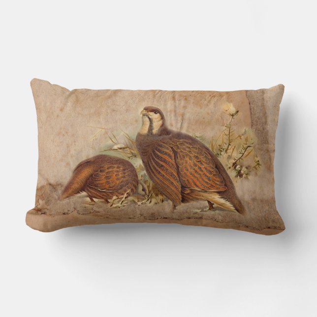 Turkie Pillows (Front)