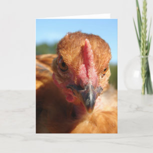 Turkin Pullet Card