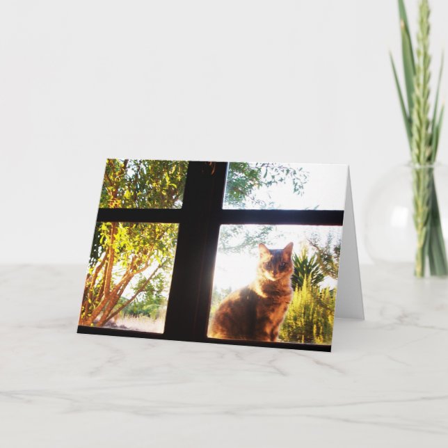 TURKISH CAT AT THE WINDOW CARD (Front)