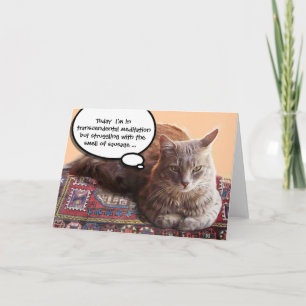 TURKISH CAT IN TRANSCENDENTAL MEDITATION CARD