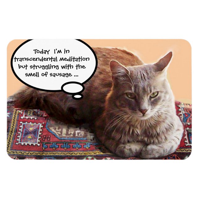 TURKISH CAT IN  TRANSCENDENTAL MEDITATION MAGNET (Horizontal)