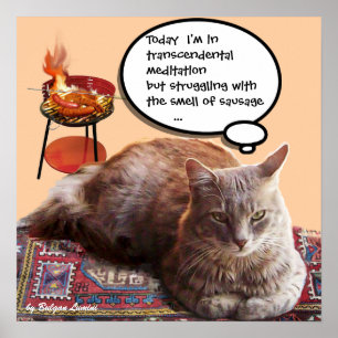 TURKISH CAT IN TRANSCENDENTAL MEDITATION POSTER