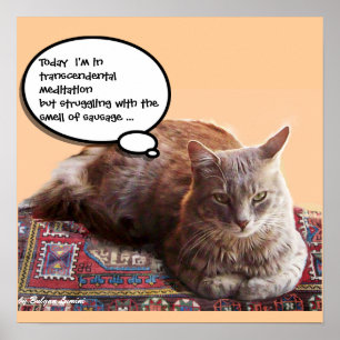 TURKISH CAT IN TRANSCENDENTAL MEDITATION POSTER