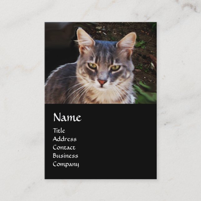 TURKISH CAT MONOGRAM BUSINESS CARD (Front)